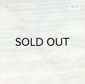 画像2: FUTURE FLIGHT / SAME (2)