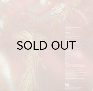 画像2: THE MIKE THEODORE ORCHESTRA / HIGH ON MAD MOUNTAIN (LP) (2)