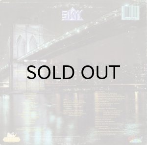 画像2: SKYY / SKYY LINE (2)