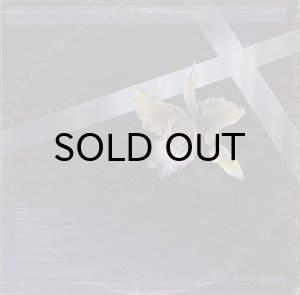 画像2: LARRY PAGE ORCHESTRA / EROTIC SOUL (2)