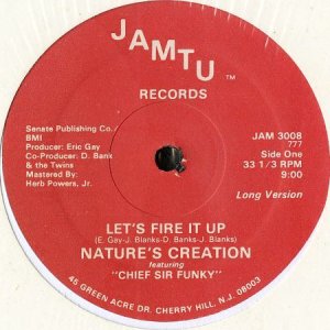 画像1: NATURE'S CREATION feat. CHIEF SIR FUNKY / LET'S FIRE IT UP (12) (1)