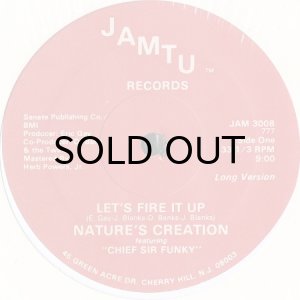 画像1: NATURE'S CREATION feat. CHIEF SIR FUNKY / LET'S FIRE IT UP (12) (1)