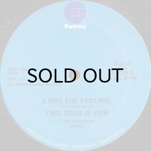 画像1: TWO TONS O' FUN / I GOT THE FEELING (THE PATRICK COWLEY MEGAMIX) (1)