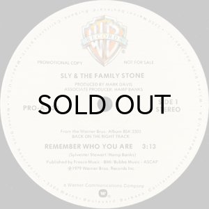 画像3: SLY & THE FAMILY STONE / REMEMBER WHO YOU ARE (12) (3)