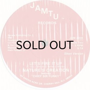 画像2: NATURE'S CREATION feat. CHIEF SIR FUNKY / LET'S FIRE IT UP (12) (2)