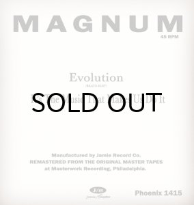 画像2: MAGNUM / EVOLUTION (BEATS EDIT) b/w IT'S THE MUSIC THAT US DO IT (45's) (2)