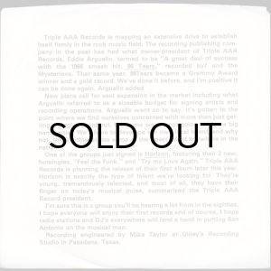 画像2: HORIZON / FEEL THE FUNK b/w TRY MY LOVE AGAIN (45's) (2)