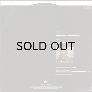 画像2: SADE / NOTHING CAN COME BETWEEN US (45's) (PROMO) (PICTURE SLEEVE) (2)