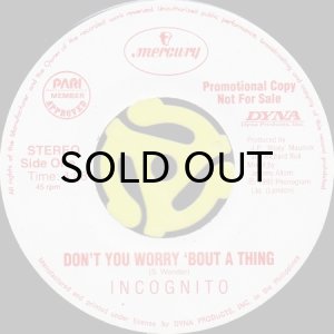 画像1: INCOGNITO / DON'T YOU WORRY 'BOUT A THING (45's) (1)