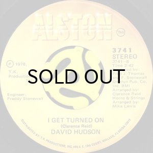 画像1: DAVID HUDSON / I GET TURNED ON (45's) (1)