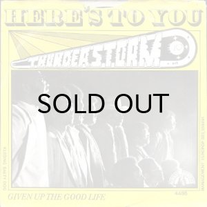 画像2: THUNDERSTORM / HERE'S TO YOU (45's) (2)