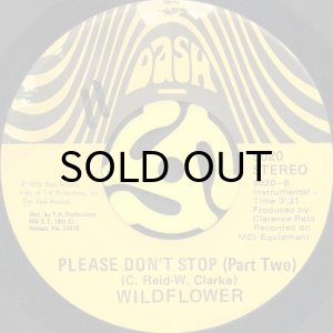 画像2: WILD FLOWER / PLEASE DON'T STOP (45's) (2)