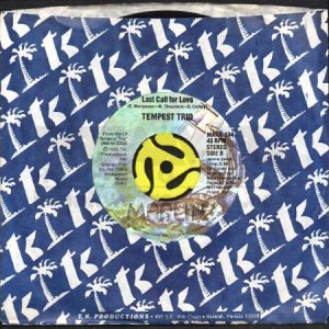画像3: TEMPEST TRIO / LAST CALL FOR LOVE (45's) (3)