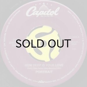 画像2: PORTRAIT / I CAN CALL YOU (45's) (2)