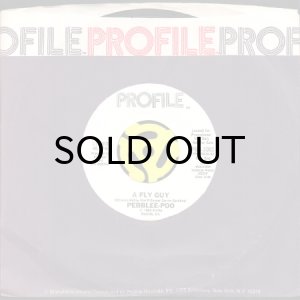 画像3: PEBBLEE-POO / A FLY GUY (45's) (3)