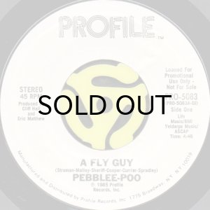 画像2: PEBBLEE-POO / A FLY GUY (45's) (2)
