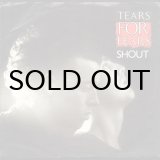 DONALD FAGEN / I.G.Y. (45's) (PICTURE SLEEVE) - Breakwell