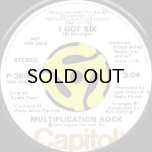 画像2: MULTIPLICATION ROCK / NAUGHTY NUMBER NINE b/w I GOT SIX (45's) (2)