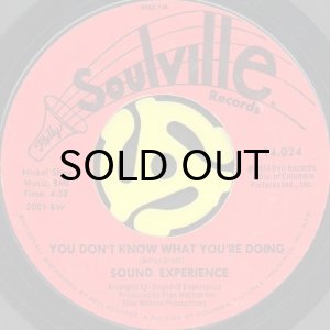 画像2: SOUND EXPERIENCE / DON'T FIGHT THE FEELING (45's) (2)