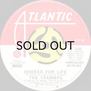 画像2: THE TRAMMPS / HOOKED FOR LIFE (45's) (PROMO) (2)