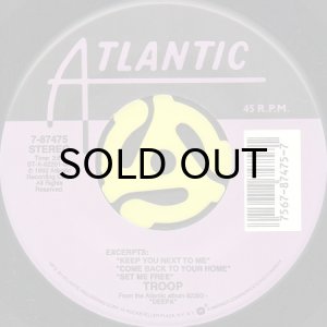 画像2: TROOP / WHATEVER IT TAKES (TO MAKE YOU STAY) (45's) (2)