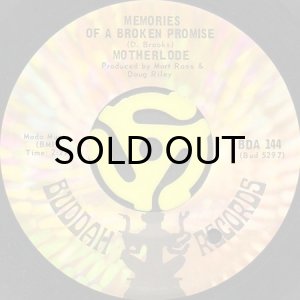 画像2: MOTHERLODE / WHAT DOES IT TAKE (TO WIN YOUR LOVE) (45's) (2)