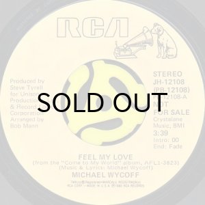 画像2: MICHAEL WYCOFF / FEEL MY LOVE (45's) (PROMO) (2)