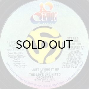 画像2: THE LOVE UNLIMITED ORCHESTRA / MY SWEET SUMMER SUITE (45's) (2)