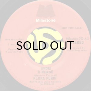 画像2: FLORA PURIM / ANDEI (I WALKED) (45's) (PROMO) (2)