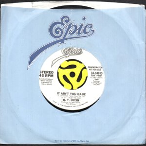 画像3: Q.T. HUSH / IT AIN'T YOU BABE (45's) (WHITE PROMO) (3)