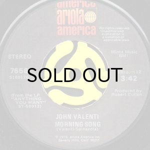 画像2: JOHN VALENTI / I WROTE THIS SONG FOR YOU (45's) (2)