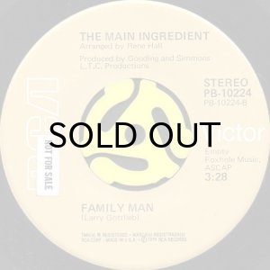 画像2: THE MAIN INGREDIENT / ROLLING DOWN A MOUNTAINSIDE b/w FAMILY MAN (45's) (2)