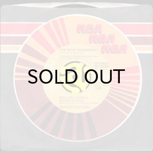 画像3: THE MAIN INGREDIENT / ROLLING DOWN A MOUNTAINSIDE b/w FAMILY MAN (45's) (3)