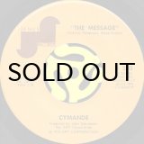 ARMANDO TROVAIOLI / SESSO MATTO (45's) - Breakwell Records