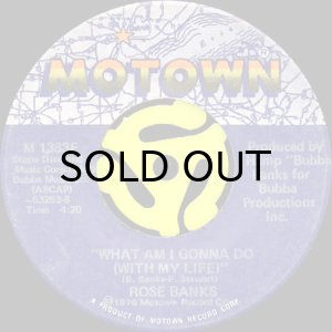 画像2: ROSE BANKS / WHOLE NEW THING (45's) (2)