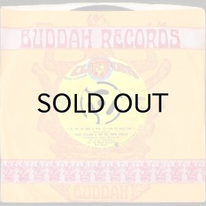 画像3: MOSES DILLARD & THE TEX TOWN DISPLAY / I'VE GOT TO FIND A WAY (TO HIDE MY HURT) (45's) (3)