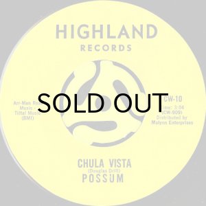 画像2: POSSUM / THE COCKROACH THAT ATE CINCINNATI (45's) (2)