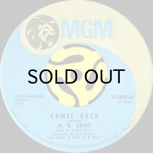 画像3: A.B. SKHY / CAMEL BACK b/w JUST WHAT I NEED (45's) (3)