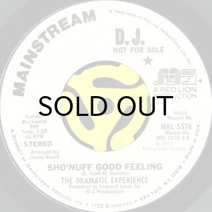 画像2: THE DRAMATIC EXPERIENCE / SHO'NUFF GOOD FEELING (45's) (WHITE PROMO) (2)