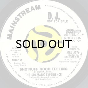 画像1: THE DRAMATIC EXPERIENCE / SHO'NUFF GOOD FEELING (45's) (WHITE PROMO) (1)