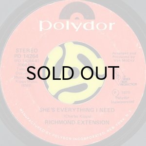 画像2: RICHMOND EXTENSION / LET'S GET INTO SOMETHING b/w SHE'S EVERYTHING I NEED (45's) (2)
