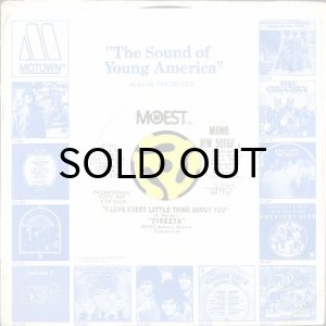 画像3: SYREETA / I LOVE EVERY LITTLE THING ABOUT YOU (45's) (WHITE PROMO) (3)