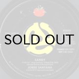 JORGE SANTANA / SANDY (12) - Breakwell Records