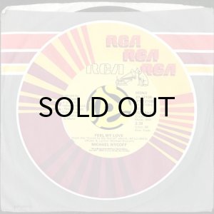 画像3: MICHAEL WYCOFF / FEEL MY LOVE (45's) (PROMO) (3)
