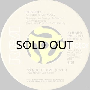 画像1: DESTINY / SO MUCH LOVE (45's) (1)