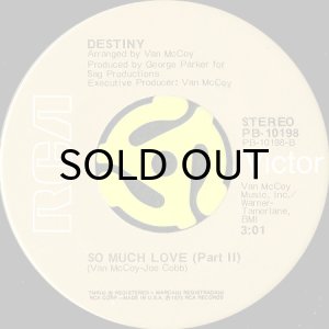 画像2: DESTINY / SO MUCH LOVE (45's) (2)