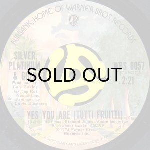 画像2: SILVER, PLATINUM & GOLD / LA-LA LOVE CHAINS (45's) (2)