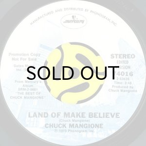 画像2: CHUCK MANGIONE / HILL WHERE THE LORD HIDES b/w LAND OF MAKE BELIEVE (45's) (PROMO) (2)