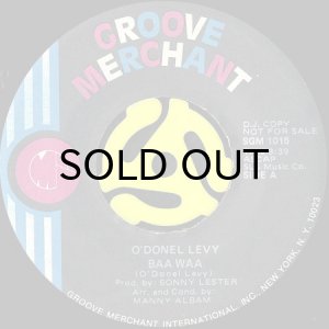 画像2: O'DONEL LEVY / DAWN OF A NEW DAY (45's) (2)