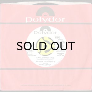 画像3: RETURN TO FOREVER feat. CHICK COREA / JUNGLE WATERFALL (45's) (WHITE PROMO) (3)